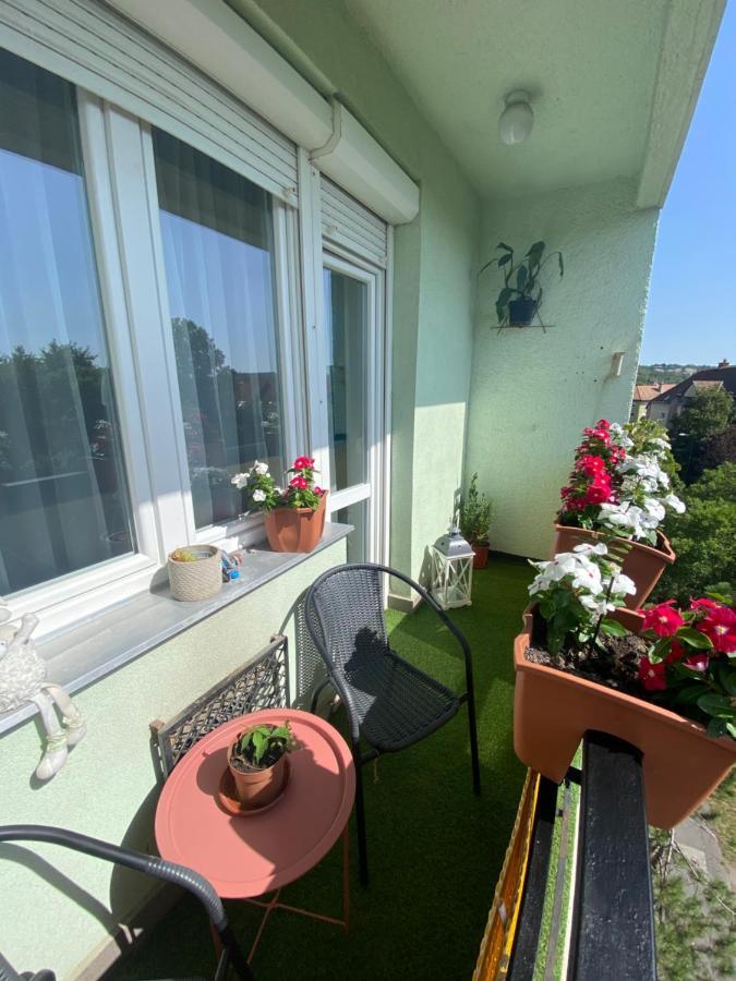 Oliaparman Apartment Eger Bagian luar foto